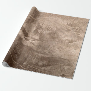 Textuur Rustic Brown Tan Beige Grunge Cadeaupapier