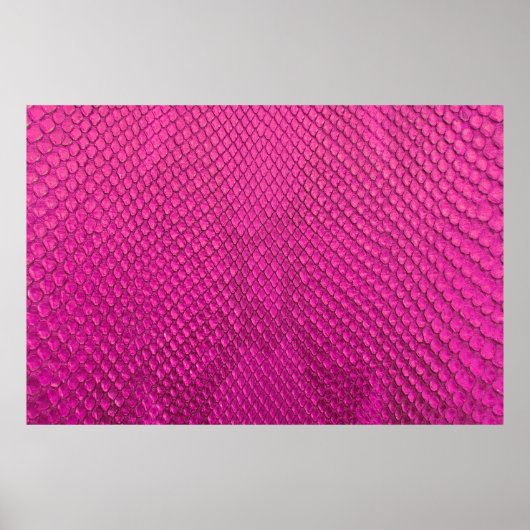 textuur van de roze pythonslang poster (Voorkant)