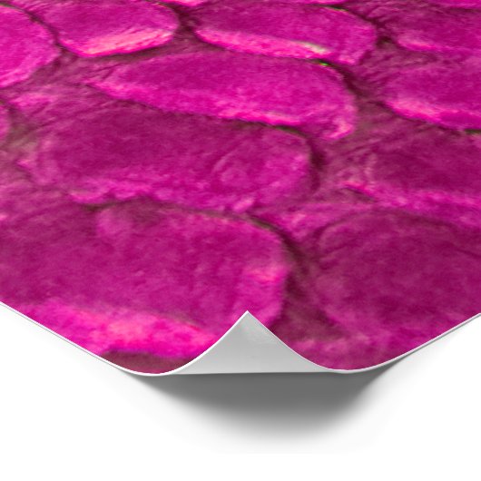 textuur van de roze pythonslang poster (Hoek)
