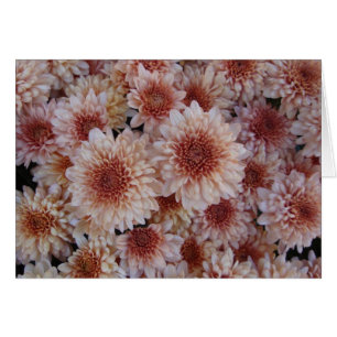 Textuur van geluk / La textura de la alegría