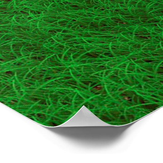 textuurachtergrond gras poster (Hoek)