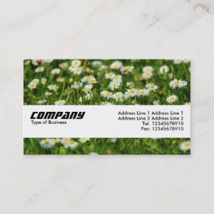 Textuurband - Daisy Meadow Visitekaartje