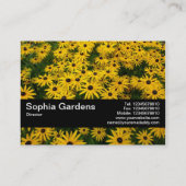 Textuurband V2 - zwarte veredeling (Rudbeckia Hir) Visitekaartje (Achterkant)