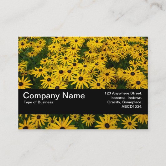 Textuurband V2 - zwarte veredeling (Rudbeckia Hir) Visitekaartje (Voorkant)