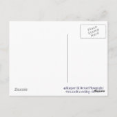 TGIF Rozenkrans Briefkaart (Achterkant)