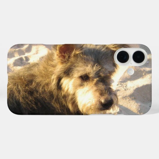 Thai Beach Dog Case-Mate iPhone Case (Achterkant (horizontaal))