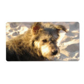 Thai Beach Dog Etiket (Voorkant)