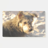 Thai Beach Dog Post-it® Notes (Voorkant)