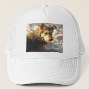 Thai Beach Dog Trucker Pet