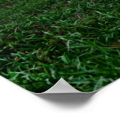 Thai Elephant Poster (Hoek)