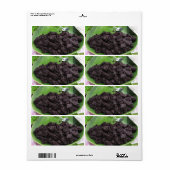 Thai Lao Black Rice (Khao Niao Dam) Etiket (Full Sheet)