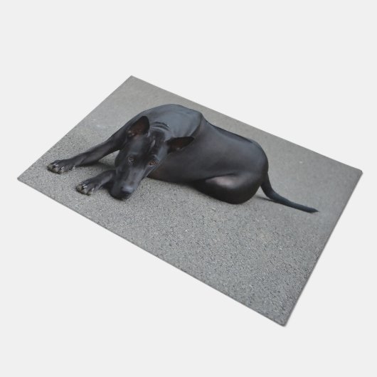 Thai Ridgeback Dog Deurmat (Schuin)