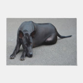 Thai Ridgeback Dog Deurmat (Voorkant)