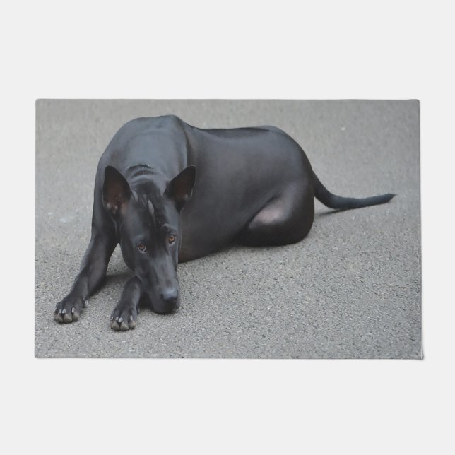Thai Ridgeback Dog Deurmat (Voorkant)