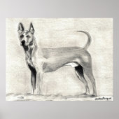Thai Ridgeback Dog Print (Voorkant)