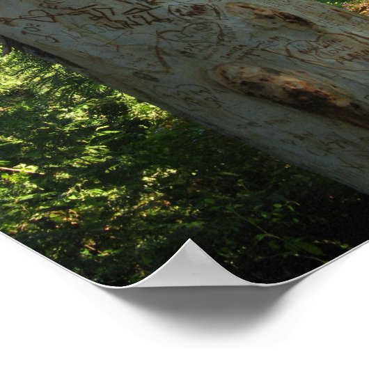 Thai Tree Graffiti Poster (Hoek)