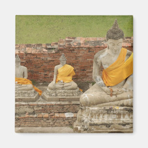 Thailand, Ayutthaya. Statuut van de zittende boedd Magneet