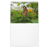 Thailand Butterflies Kalender (Hoes)