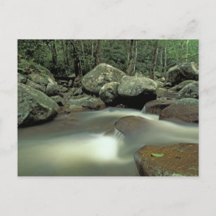 Thailand, Kohsamui eiland, Regenwoud landschap. Briefkaart