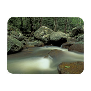 Thailand, Kohsamui eiland, regenwoud landschap. Magneet