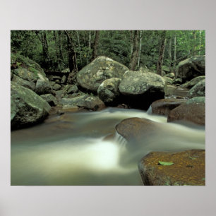 Thailand, Kohsamui eiland, Regenwoud landschap. Poster