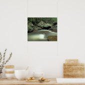 Thailand, Kohsamui-eiland, regenwoud. Poster (Keuken)