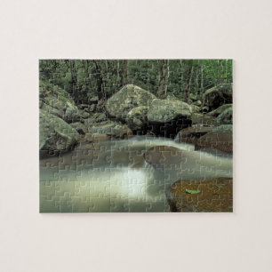 Thailand, Kohsamui-eiland, regenwoudlandschap. Legpuzzel