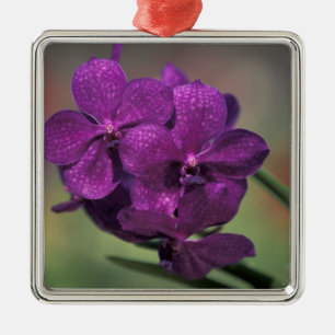 Thailand, Noord-Thailand, nabij Chang Mai, Mae Metalen Ornament