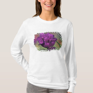 Thailand, Noord-Thailand, nabij Chang Mai, Mae T-shirt