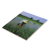 Thailand, Sukhothai. Rijstboer. MR Tegeltje (Zijkant)