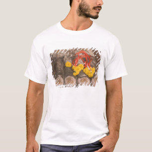 Thailand, voeten van Boeddha en goudsbloem offeran T-shirt