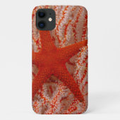 Thailand, Zee Star Aka Starfish Case-Mate iPhone Case (Achterkant)