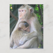 Thaise aap moeder en kind Hug Briefkaart (Voorkant)