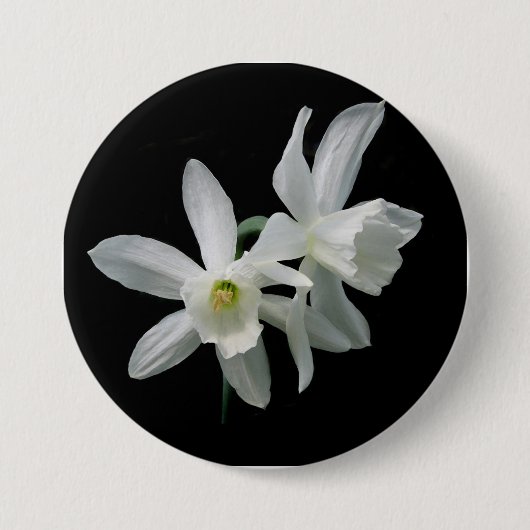 Thalia Narcissus Black en White Daffodil Button (Voorkant)