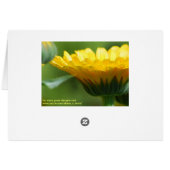 Thank You Calendula Garden (Dos Horizontal)