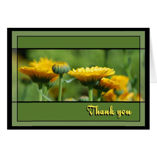 Thank You Calendula Garden (Devant horizontal)
