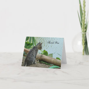 Thank You Card - Little Kitten bij het water Bedankkaart