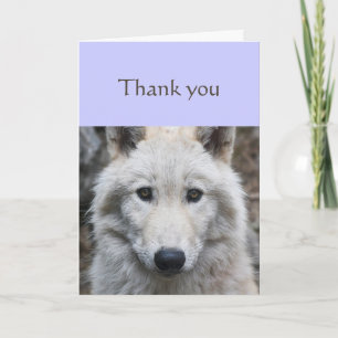Thanks Sincere White Wolf Animal Scripting Kaart