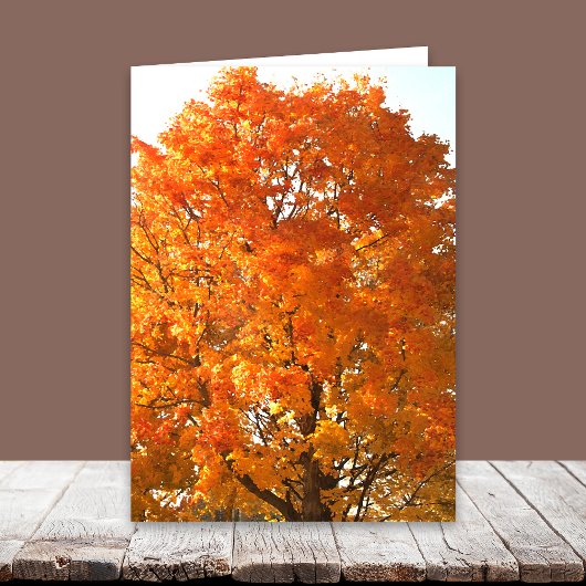 Thanksgiving à travers les cartes Miles