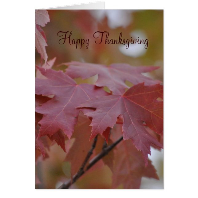 Thanksgiving ~ Autumn Leaves (Voorkant)