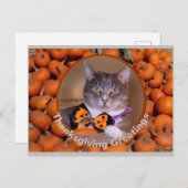 Thanksgiving begroeten met kat feestdagenkaart (Voorkant / Achterkant)