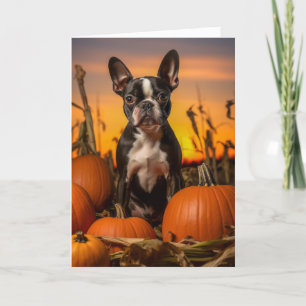 Thanksgiving Boston Terrier Feestdagen Kaart