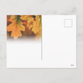 Thanksgiving Briefkaart (Achterkant)