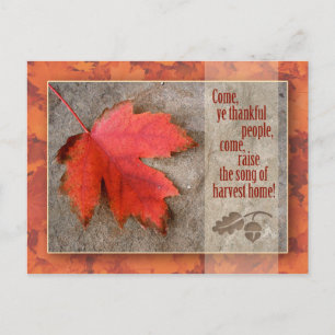 Thanksgiving Briefkaart