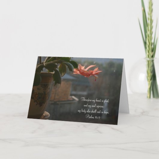 Thanksgiving Cactus met pergekleurde ventilator Feestdagen Kaart (Voorkant)