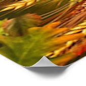 Thanksgiving Cornucopia Poster (Hoek)