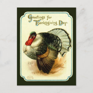 Thanksgiving Dag Turkije Briefkaart
