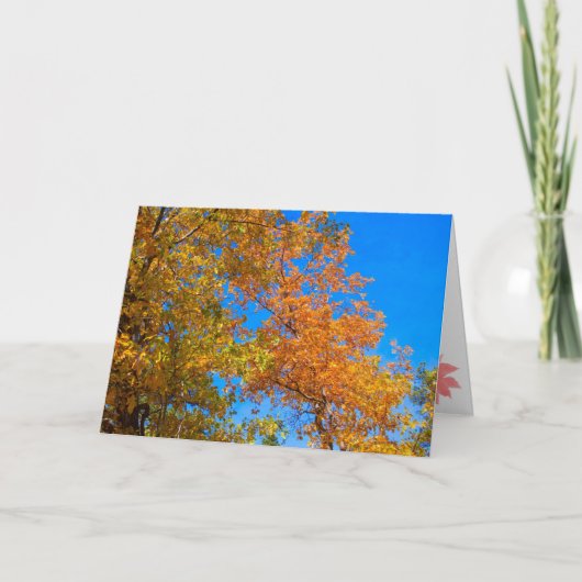 Thanksgiving en Herfst Kaart 2 (Voorkant)