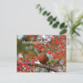 Thanksgiving Feestdagenkaart (Staand voorkant)