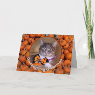 Thanksgiving groeten met kattenWenskaart Feestdagen Kaart